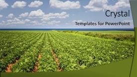  Presentation with plants growing - Amazing presentation theme having plants growing in large farm backdrop and a light blue colored foreground