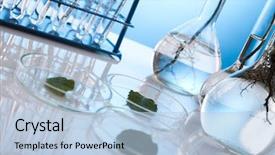  Presentation with test tubes - Amazing slide deck having plants growing in test tubes backdrop and a light blue colored foreground