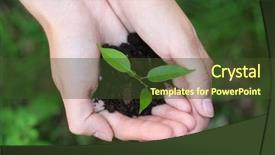  Presentation with plant growth - Presentation consisting of plants growth - plant and soil in female background and a tawny brown colored foreground