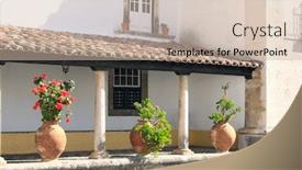  Presentation with residential - Presentation theme consisting of plants-in-clay-jugs background and a soft green colored foreground