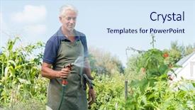  Presentation with vegetable gardening - Presentation having plants in his vegetable garden background and a sky blue colored foreground