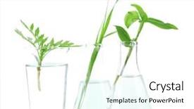  Presentation with test tubes - Amazing slide set having plants in test tubes isolated backdrop and a cool aqua colored foreground