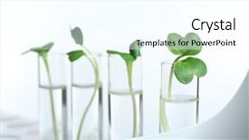  Presentation with biochemistry - PPT theme enhanced with plants in test tubes background and a white colored foreground