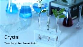  Presentation with blurred plants - PPT theme enhanced with plants in test tubes background and a  colored foreground