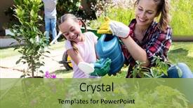  Presentation with plants - Slides consisting of plants in the garden background and a yellow colored foreground