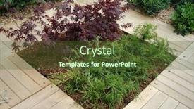  Presentation with plants - Presentation theme having plants-in-the-park background and a tawny brown colored foreground