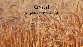  Presentation with agricultural - Audience pleasing theme consisting of plants on an agricultural field backdrop and a coral colored foreground