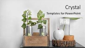  Presentation with plants - Theme having plants on table near light background and a white colored foreground