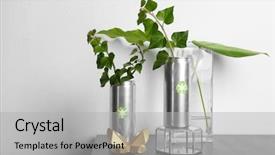  Presentation with plants - PPT layouts enhanced with plants on table near light background and a light gray colored foreground