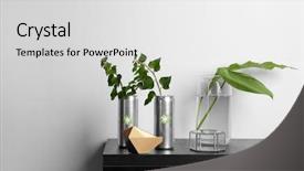  Presentation with plants - Beautiful PPT layouts featuring plants on table near light backdrop and a light gray colored foreground