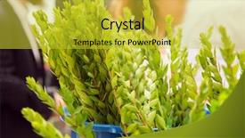  Presentation with ancient israel - Cool new theme with plants on the traditional pre backdrop and a yellow colored foreground