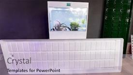  Presentation with plants - Cool new theme with plants-protecting-against-pests backdrop and a lemonade colored foreground