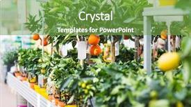  Presentation with botany - Presentation with tree planting - plants sale farming and botany background and a seafoam green colored foreground