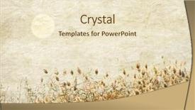  Presentation with swamp - Beautiful presentation theme featuring wall paper - reed stalks in the swamp backdrop and a lemonade colored foreground