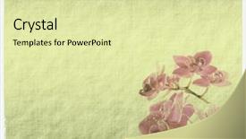  Presentation with orchid - Audience pleasing theme consisting of aged paper texture - vintage wallpaper background with orchid backdrop and a soft green colored foreground