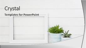  Presentation with cactus - Audience pleasing PPT theme consisting of plant pot as a mock backdrop and a white colored foreground