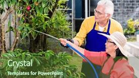  Presentation with senior asian - Slide deck having plants with a garden hose background and a tawny brown colored foreground
