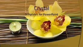  Presentation with transgenic plants - Presentation design consisting of plants with candle on mat background and a gold colored foreground