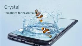  Presentation with smartphone - Beautiful slide deck featuring plashing-water-with-fish backdrop and a sky blue colored foreground