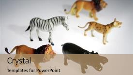  Presentation with plastic in chemistry - Amazing presentation theme having plastic animals backdrop and a coral colored foreground