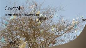  Presentation with plastic bags - Amazing slides having plastic bags caught in dead backdrop and a light blue colored foreground