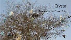  Presentation with plastic bags - Audience pleasing theme consisting of plastic bags in bare tree backdrop and a light blue colored foreground
