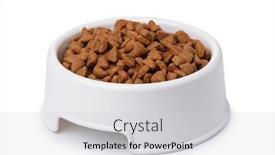  Presentation with pet food - Beautiful slide set featuring plastic bowl of dry pet backdrop and a light gray colored foreground