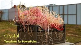  Presentation with potato - Presentation theme with plastic-box-with-a-lot background and a tawny brown colored foreground