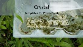  Presentation with plastic container - Audience pleasing slides consisting of plastic container with stagnant water backdrop and a light gray colored foreground