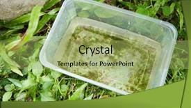  Presentation with plastic container - Theme featuring plastic container with stagnant water background and a mint green colored foreground