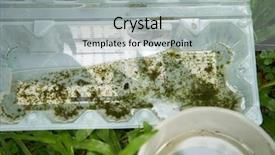  Presentation with plastic container - Amazing theme having plastic container with stagnant water backdrop and a light gray colored foreground