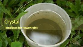  Presentation with breeding - Colorful PPT layouts enhanced with plastic container with stagnant water backdrop and a tawny brown colored foreground