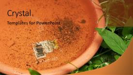  Presentation with plastic container - Audience pleasing presentation theme consisting of plastic container with stagnant water backdrop and a red colored foreground