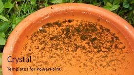  Presentation with plastic container - PPT theme featuring plastic container with stagnant water background and a gold colored foreground