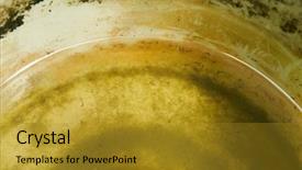  Presentation with plastic container - Cool new presentation with plastic container with stagnant water backdrop and a gold colored foreground