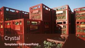  Presentation with australia - Slides consisting of plastic crates filled with harvested chardonnay wine grapes yarra valley victoria australia background and a tawny brown colored foreground