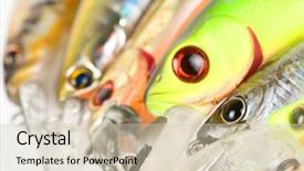  Presentation with lens - Beautiful PPT layouts featuring plastic fishing lures extreme close-up 100 2 8 macro lens used backdrop and a soft green colored foreground