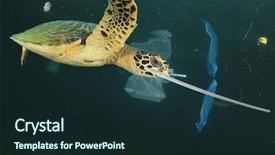  Presentation with turtle - Amazing slide deck having plastic garbage dumped in ocean backdrop and a wine colored foreground