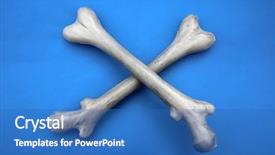  Presentation with bone anatomy - Amazing PPT theme having plastic human bones halloween props backdrop and a teal colored foreground
