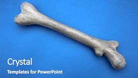  Presentation with halloween - Beautiful presentation theme featuring plastic human bones halloween props backdrop and a teal colored foreground