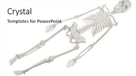  Presentation with skeleton - Presentation theme enhanced with supine - plastic human skeleton model background and a white colored foreground