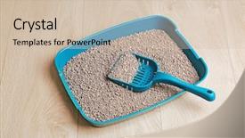  Presentation with outside the box - Colorful presentation enhanced with plastic litter box with filler backdrop and a soft green colored foreground