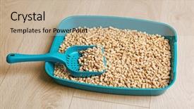  Presentation with plastic - PPT layouts with plastic litter box with filler background and a soft green colored foreground