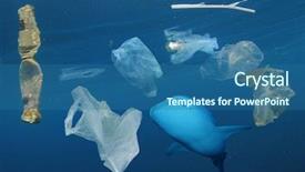  Presentation with ocean shark - Audience pleasing PPT theme consisting of plastic ocean pollution whale shark backdrop and a ocean colored foreground