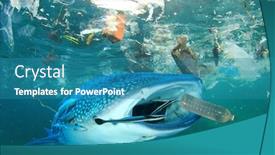  Presentation with ocean shark - Cool new presentation theme with plastic-ocean-pollution-whale-shark backdrop and a teal colored foreground