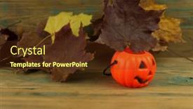  Presentation with maple leaves - Presentation enhanced with plastic-orange-pumpkin background and a tawny brown colored foreground