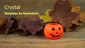  Presentation with maple - Beautiful PPT theme featuring plastic-orange-pumpkin backdrop and a tawny brown colored foreground