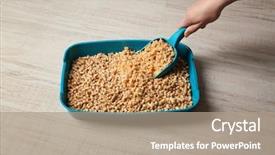  Presentation with recycling - Beautiful PPT theme featuring recycling pet - female hand cleaning cat litter backdrop and a coral colored foreground