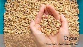  Presentation with holding hands - Beautiful slide deck featuring biodegradeable plastic - female hands holding cat litter backdrop and a coral colored foreground