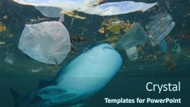  Presentation with ocean shark - Slide set consisting of plastic-pollutes-the-ocean-whale background and a ocean colored foreground